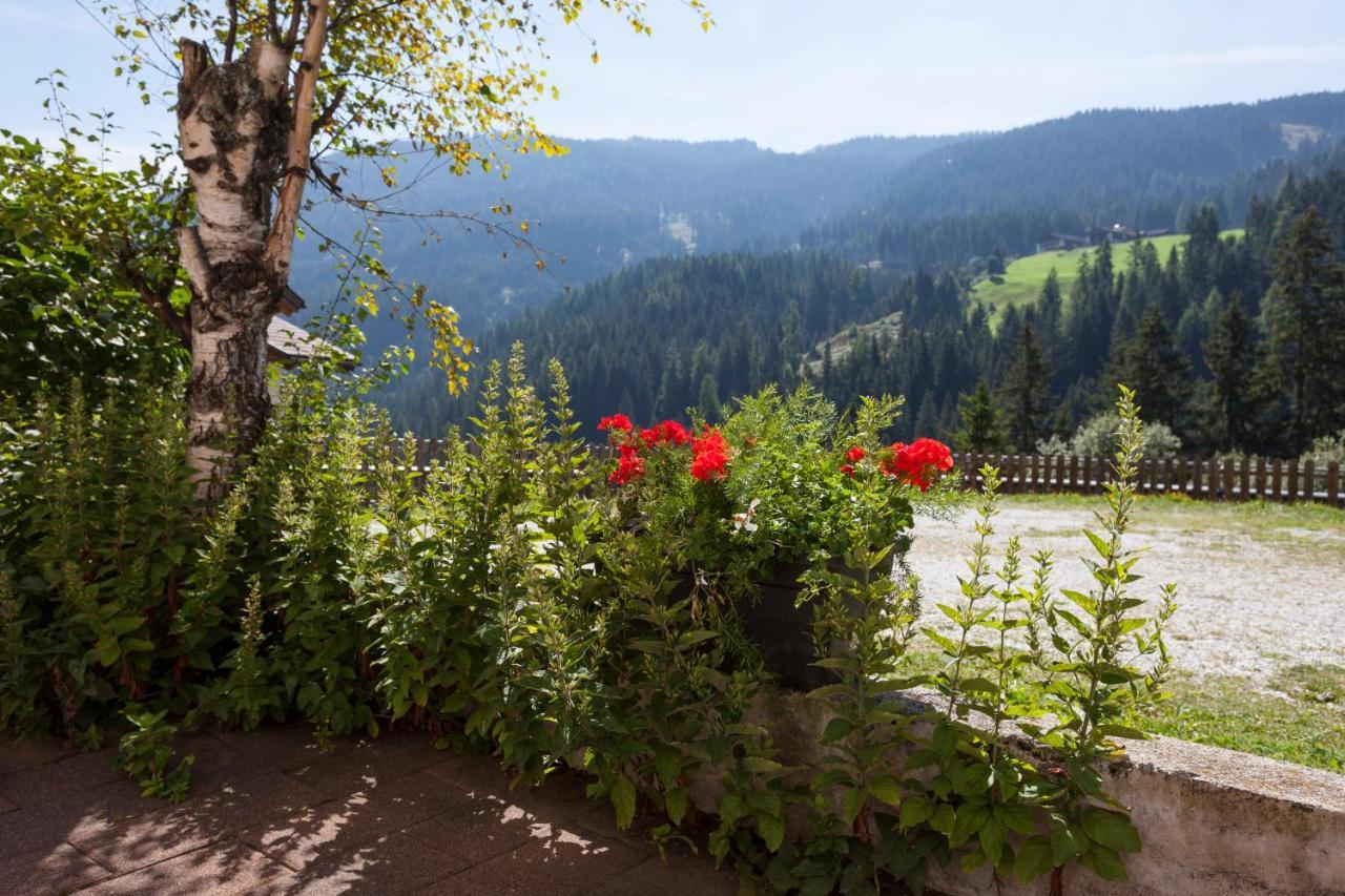 Alpenspitz Appartements - Garni - B&B Рачинес Экстерьер фото
