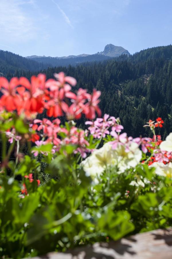 Alpenspitz Appartements - Garni - B&B Рачинес Экстерьер фото